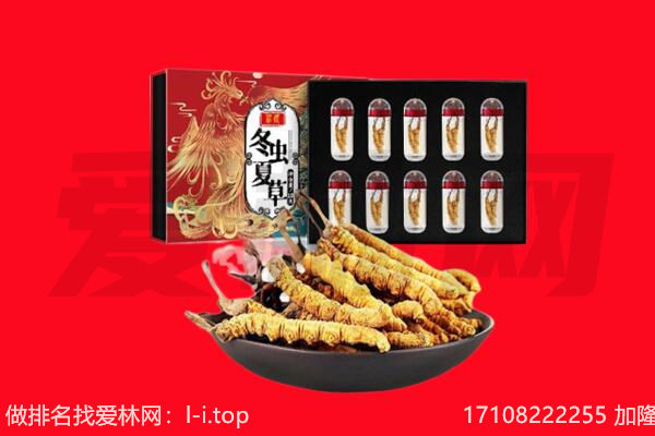 定西临洮县回收虫草.jpg
